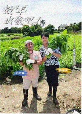 乐队的夏天综艺解析青苹果电影院