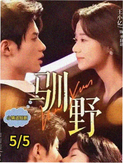 隐秘的角落剧集解析青苹果电影院高分剧集